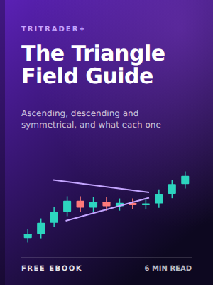 The Triangle Field Guide